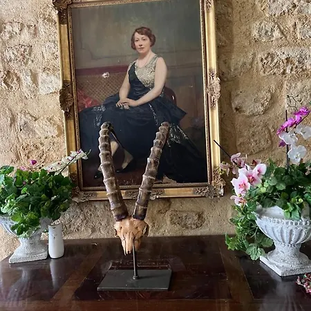 Experience Museum Hotell